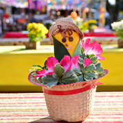 Arraiá do Bela Vista