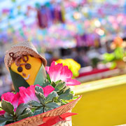 Arraiá do Bela Vista