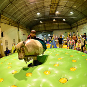 Arraiá do Bela Vista