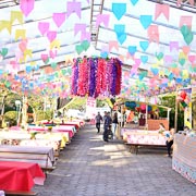 Arraiá do Bela Vista