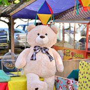 Arraiá do Bela Vista