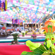 Arraiá do Bela Vista