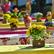 Arraiá do Bela Vista