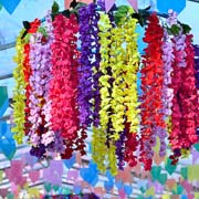 Arraiá do Bela Vista