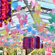 Arraiá do Bela Vista