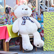 Arraiá do Bela Vista